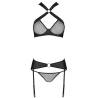 Set Passion Amanda Eco Collection con liguero, top y liguero sin modelo, de frente