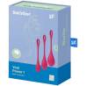 Caja del Satisfyer Yoni Power 1 rojo