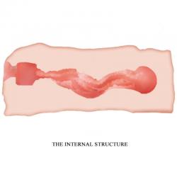 Crazy bull - jane masturbador vagina 13.5 cm