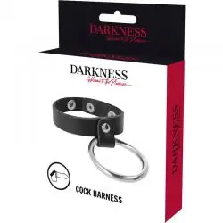Darkness anillo de metal para el pene y testículos