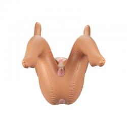 California exotics - back door babe love doll