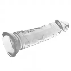 Xray clear dildo transparente 19cm x 4cm Xray clear dildo transparente 19cm x 4cm