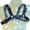 Leather body arnes cuero azul y negro chest bulldog - 2
