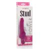 Caja del Power Stud Cliterrific rosa