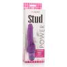 Caja del Power Stud Cliterrific lila