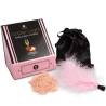 Secretplay golden light kit polvos comestibles y pluma - fresas & cava - 1