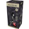 Caja del plug Alive Anal Pleasure talla S con joya roja