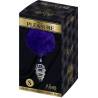 Plug Alive en espiral con pompón violeta oscuro talla S, la caja