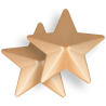 Coquette chic desire cubre pezones forma estrellas - 1