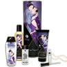 Shunga colección placeres carnales - 1