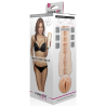 Caja Signature Collection de Maitland Ward