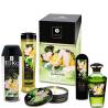 Kit Shunga Garden of Edo con cinco productos