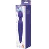 Caja del vibrador wand Pretty Love Antony Youth