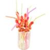 Diablo picante - bolsa 10 pajitas pene natural - 1