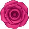 Satisfyer Classic Blossom visto desde arriba