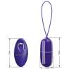 Pretty love - arvin youth huevo vibrador control remoto violeta - 4