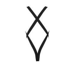 Passion 040 body leon negro - - 6