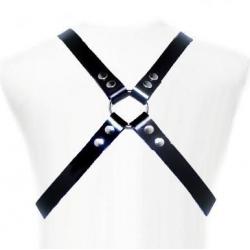 Leather body - basic harness