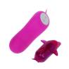 Cute secret delfin vibrador 12v - 3