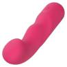 California exotics pixies curvy rosa - 2