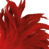 Darkness pluma estimuladora rojo 24cm - 3