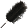 Darkness fusta con pluma love negro 56cm - 2