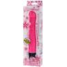 Caja blanca con flores rosas y vibrador Baile visible a través de la ventana