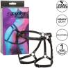 Arnés de muslo Euphoria Riding de CalExotics, caja junto al arnés