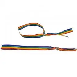 Pride - pulsera bolita plateada bandera lgbt