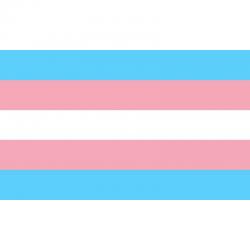 Pride - bandera 90 x 150 transexual