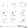 Armony - elk vibrador rabbit curvo red - 3