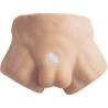 Silexd - apollo s torso bajo realistico masculino - 2