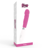 Caja del vibrador Glossy Paul rosa