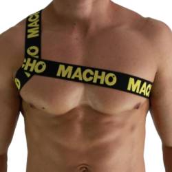 Macho - arnes romano -  - 3