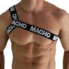 Macho - arnes romano - 15