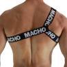 Macho - arnes romano - 16