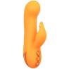 Calexotics - montecito muse vibrador rabbit naranja by california dreaming - 4