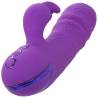 Calexotics - manhattan beach marvel vibrador rabbit morado by california dreaming - 6