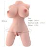 Armony torso femenino realista modelo 5 de frente con medidas y peso indicados