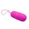 Pretty love huevo vibrador arvin control remoto 12v - 3
