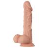 Beautiful encounter buraq dildo realistico flexible 24 cm - natural - 5