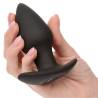 Plug Rock Bottom Perfect Probe en la mano