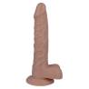 Pene realista Mr Intense 21 con testículos y ventosa