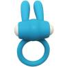 Armony Mr Bunny turquesa, de frente con el lateral liso