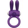 Armony Mr Bunny morado, de frente con el estimulador de relieves