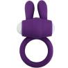 Armony Mr Bunny morado, de frente con el lateral liso