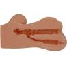Masturbador Crazy Bull Hannah por dentro