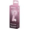 Caja de Satisfyer Secret Kiss rosa