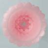 Pretty love - athena alice masturbador masculino rosa - 2