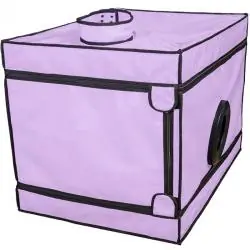 Secret dome - kink club la niche cabina morado